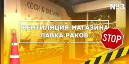 Аудит проекта инженерных систем магазина морепродуктов