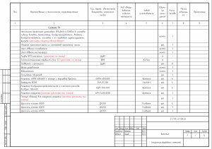 Тануки Метрополис-6